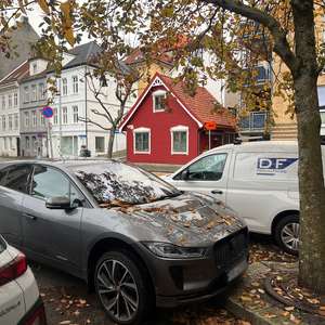 Bil_høstløv2