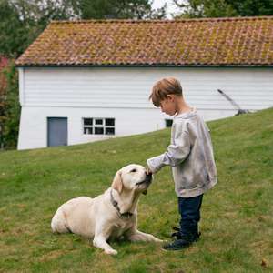 Hund og gutt på plenen