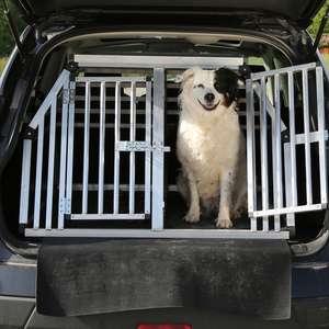 Hund som er forsikret i Frende titter ut av bur i bil