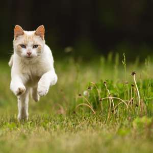 Katt James Hammond Unsplash.jpg