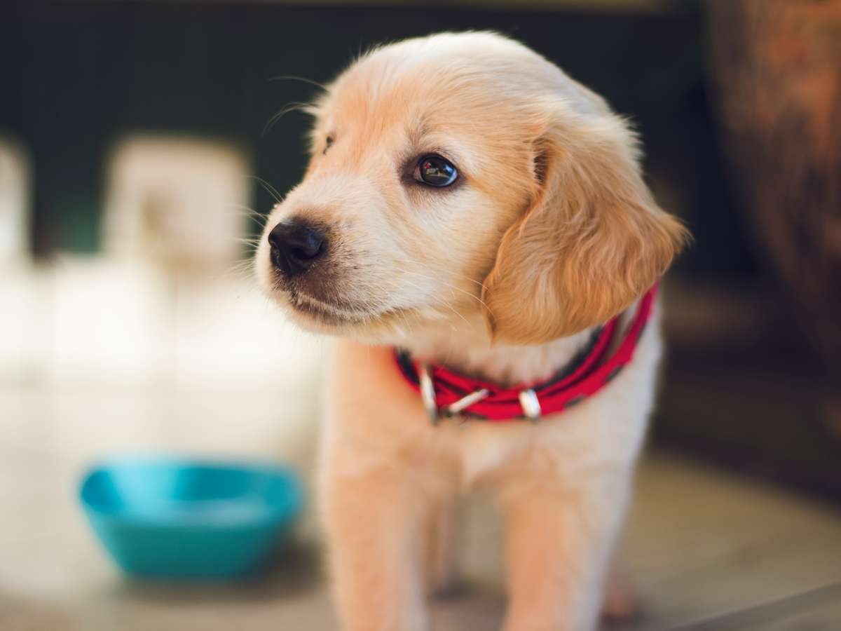 berkay-gumustekin-ngqyo2AYYnE-unsplash