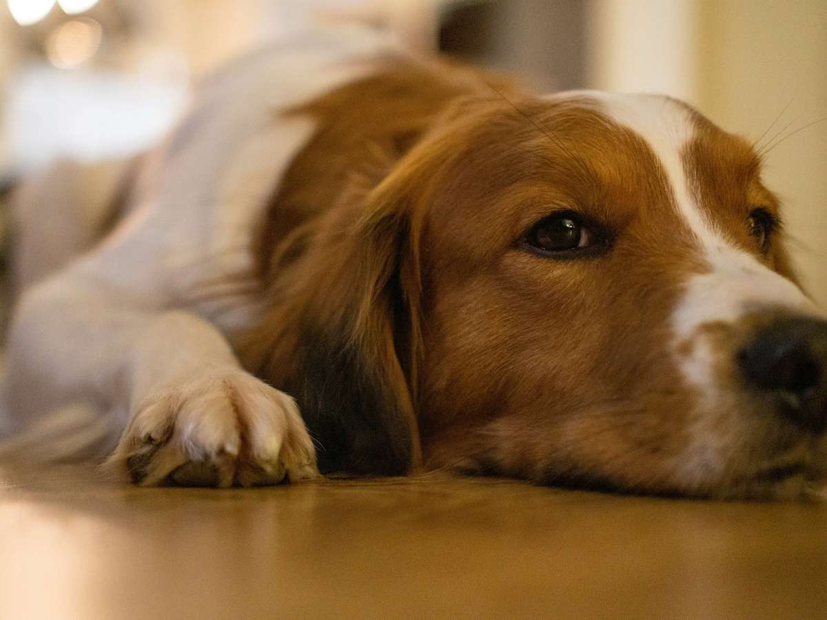 maurice-dt-5MxFq1W01ao-unsplash