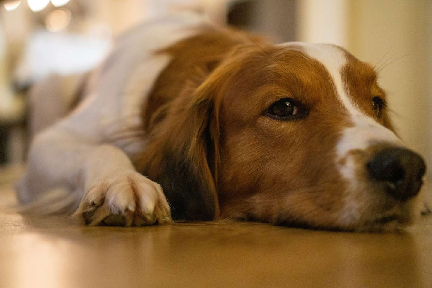 maurice-dt-5MxFq1W01ao-unsplash