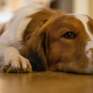 maurice-dt-5MxFq1W01ao-unsplash