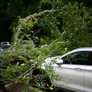 michael-jin-mCj7atG0nEc-unsplash (1)