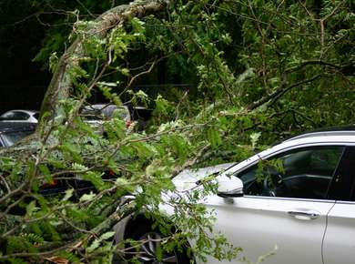 michael-jin-mCj7atG0nEc-unsplash (1)