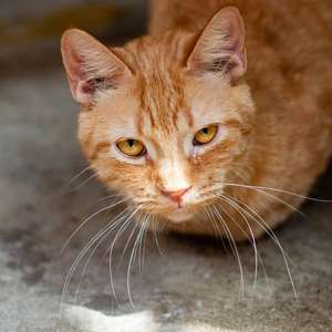 pexels-valverdeamandaa-26665694