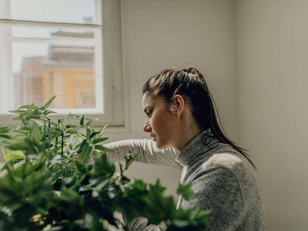 student_planter.jpg